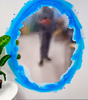 77604766