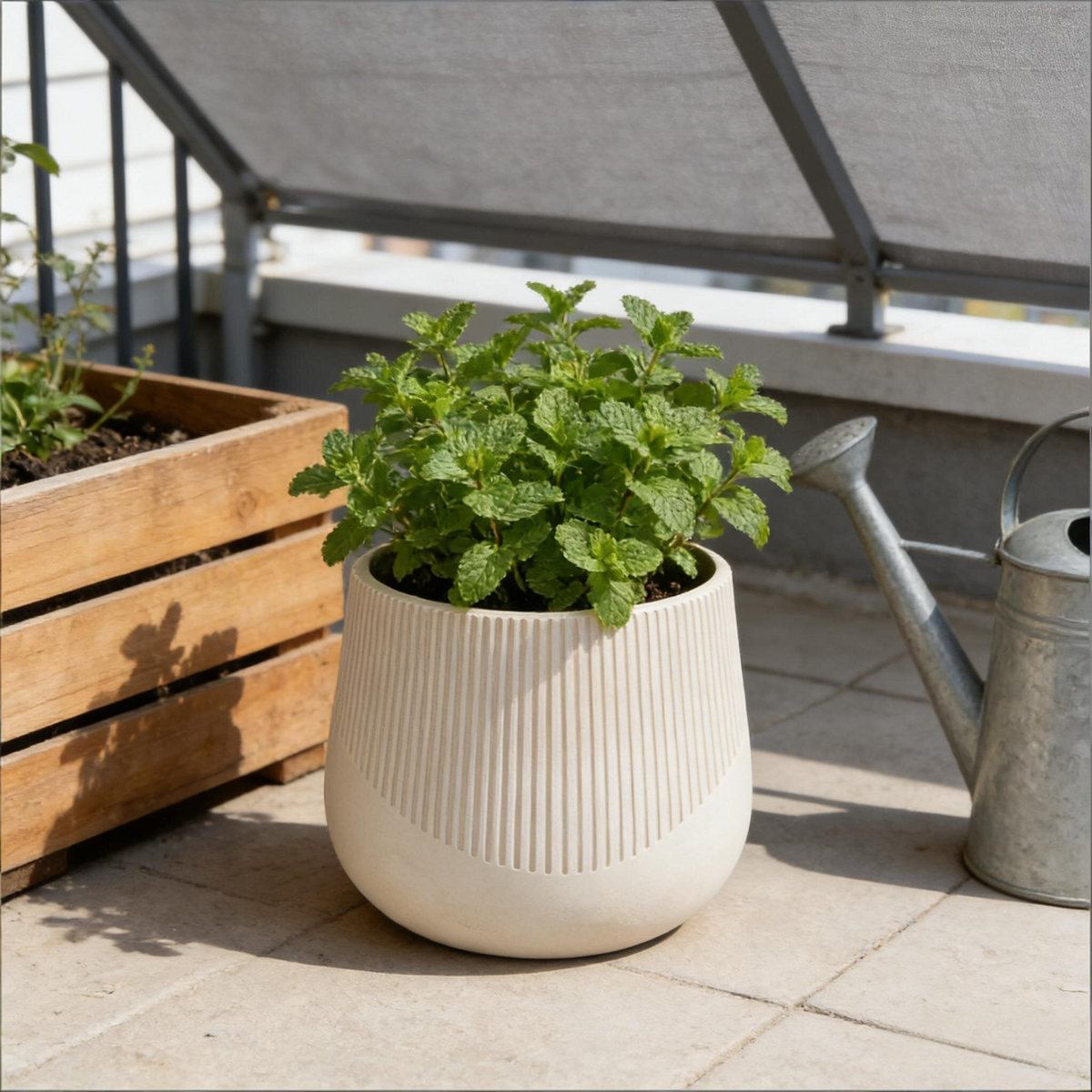 Planter Magnesium Oxide Antique White Modern for Plant Displays and Home Décor