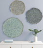 80347604