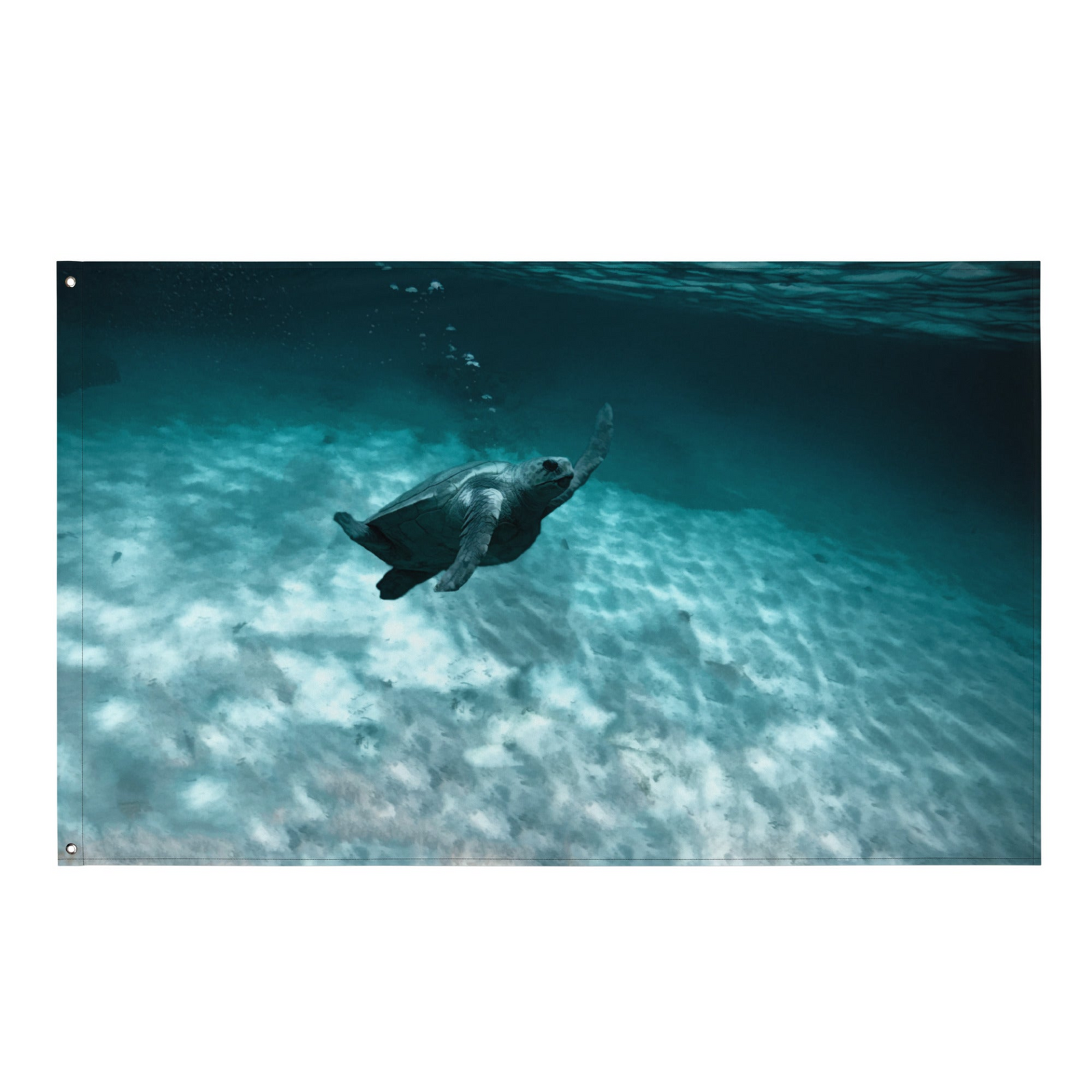 Turtle Painting Wall Tapestry – Artistic Polyester Flag Wall Hanging