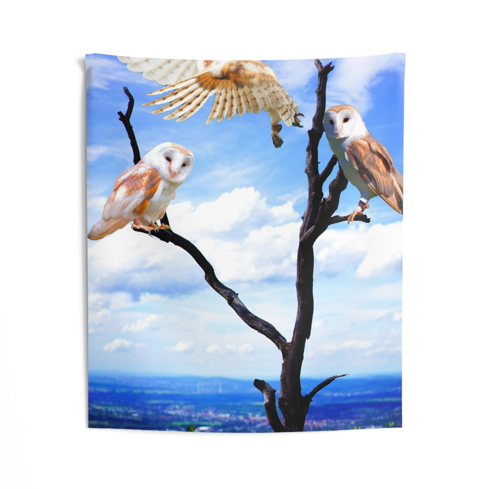 Owl Wall Tapestry – 100% Polyester Decorative Wall Tapestry