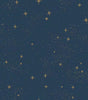 Upon A Star Navy Vinyl Peel & Stick Wallpaper Roll (Covers 28.18 Sq. Ft.)