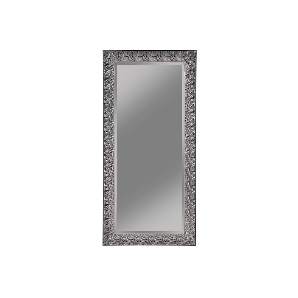 Rollins 32 x 66 Inch Rectangular Floor Mirror Black