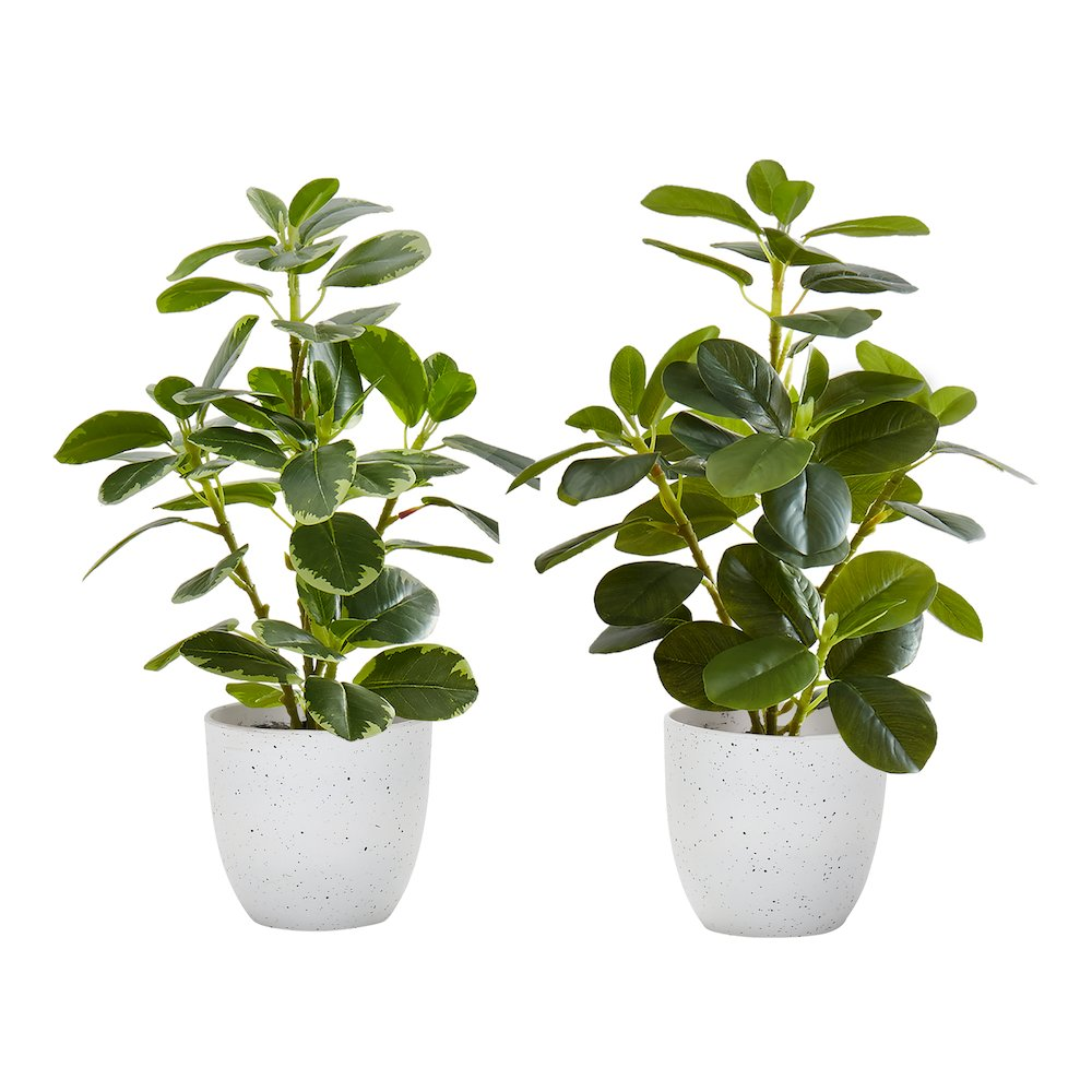 Artificial Plant, 14" Tall, Ficus, Indoor, Faux, Table, Greenery, Set Of 2