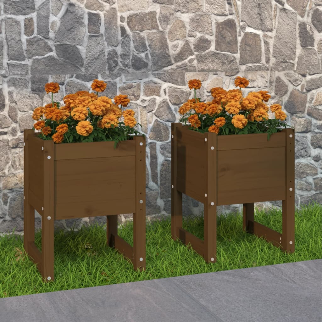 vidaXL Planter Set of 2 Honey brown Solid pine wood Medium