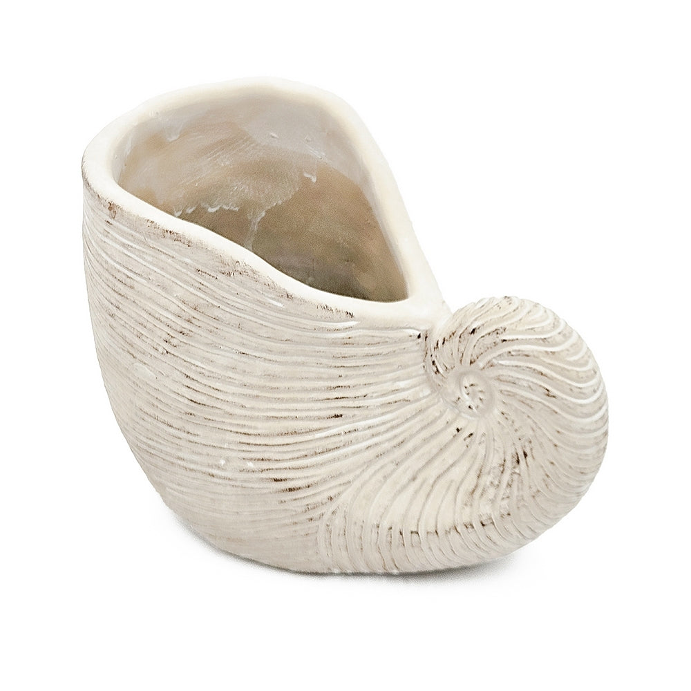 8.5x5.5x6.3' Sand and Cement Nautilus Shell Planter with Textured Beige Finish