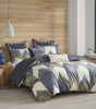77664994