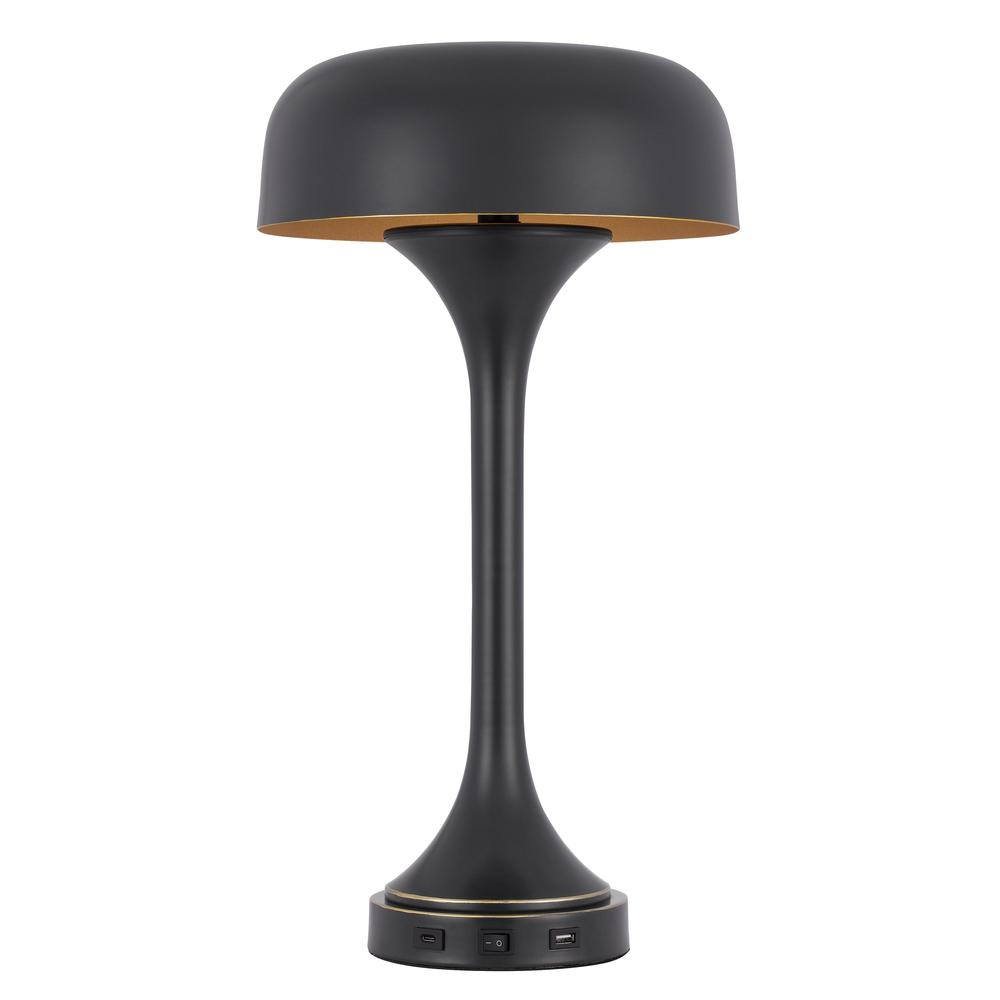 40W x 2 Mushroom Cloud Metal Desk Lamp with USB & Type-C Charging