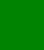77309299