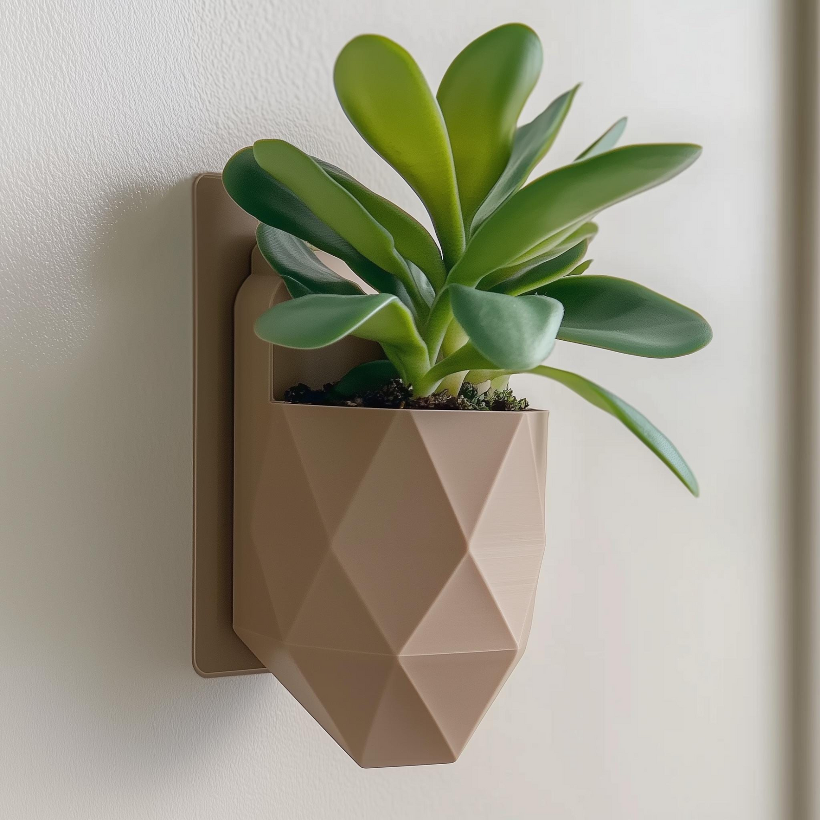 Geometric 3D Printed Wall Planter – Modern Faceted Wall-Mounted Plant Pot