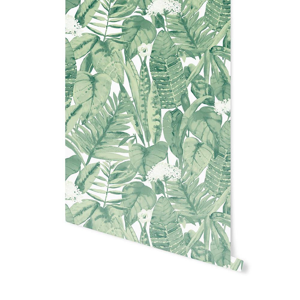 Jungle Green Tropical Vinyl Peel and Stick Wallpaper Roll (Covers 28 Sq. ft.)