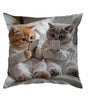 Smartphone Kitten Throw Pillow Cover – Curious Cat Pair Designs, Polyester, 15.75–23.62 in Square