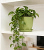 Self-Watering Desktop Flower Pot for Indoor Plants
