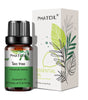 10ml Pure Essential Oils for Diffusers and Aromatherapy