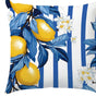 Coastal Lemon Polyester Pillow Covers, Set of 4 – 15.75, 17.72, 19.69 or 23.62 in Square (40, 45, 50 or 60 cm)