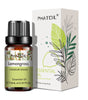 10ml Pure Essential Oils for Diffusers and Aromatherapy