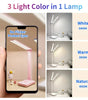 LED Desk Lamp – 3-Level Touch Dimmable, Foldable Eye-Caring Reading Light, USB Plug-In or Rechargeable Bedside Table Lamp