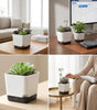 Square Self-Watering Plastic Plant Pot with Water Reservoir