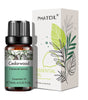 10ml Pure Essential Oils for Diffusers and Aromatherapy