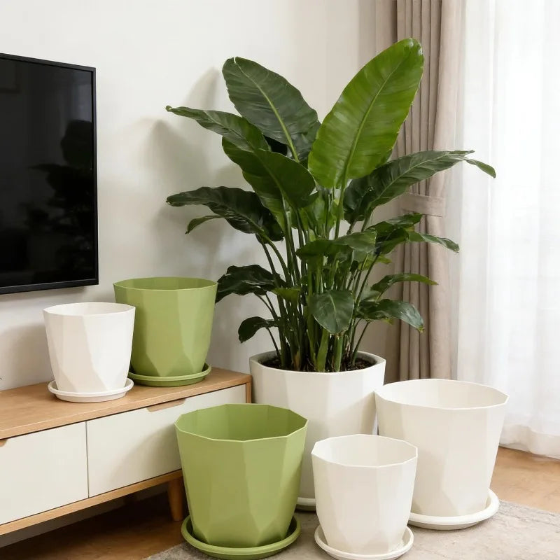 Self-Watering Desktop Flower Pot for Indoor Plants