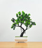 Small Artificial Bonsai Potted Plant – Green Faux Tree Ornament for Home, Garden & Hotel Decor
