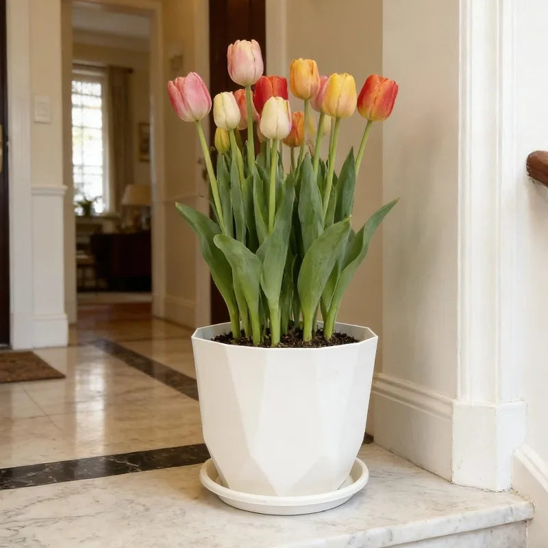 Self-Watering Desktop Flower Pot for Indoor Plants