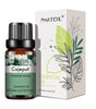 10ml Pure Essential Oils for Diffusers and Aromatherapy