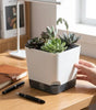 Square Self-Watering Plastic Plant Pot with Water Reservoir