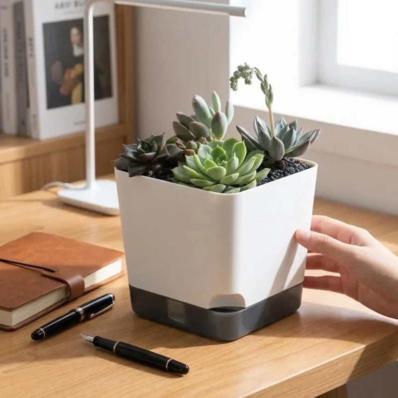 Square Self-Watering Plastic Plant Pot with Water Reservoir