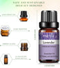 PHATOIL 6-Piece 10ml Pure Essential Oil Set for Diffusers
