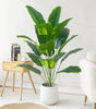 Large Artificial Banana Palm Plant Leaves – Real Touch Tropical Faux Monstera Greenery for Home & Garden Decor