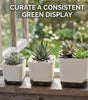 Square Self-Watering Plastic Plant Pot with Water Reservoir