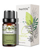 10ml Pure Essential Oils for Diffusers and Aromatherapy