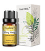 10ml Pure Essential Oils for Diffusers and Aromatherapy