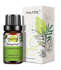 10ml Pure Essential Oils for Diffusers and Aromatherapy
