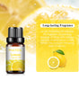 PHATOIL 10ml Fruity Fragrance Oil for Diffusers