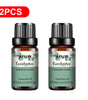 PHATOIL 2-Pack 10ml Pure Essential Oils for Diffusers