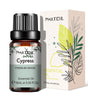 PHATOIL 2-Pack 10ml Pure Essential Oils for Diffusers