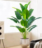Large Artificial Bird of Paradise Plant Leaves – Real Touch Tropical Strelitzia Faux Greenery for Home & Garden Decor