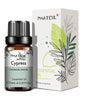 10ml Pure Essential Oils for Diffusers and Aromatherapy