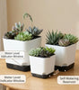 Square Self-Watering Plastic Plant Pot with Water Reservoir