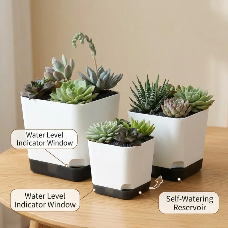 Square Self-Watering Plastic Plant Pot with Water Reservoir