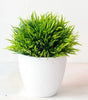 Small Artificial Bonsai Potted Plant – Green Faux Tree Ornament for Home, Garden & Hotel Decor