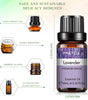 10ml Pure Essential Oils for Diffusers and Aromatherapy