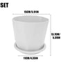 Self-Watering Desktop Flower Pot for Indoor Plants