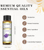 EUQEE 10ml Pure Essential Oil for Diffusers