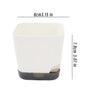 Square Self-Watering Plastic Plant Pot with Water Reservoir