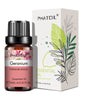 10ml Pure Essential Oils for Diffusers and Aromatherapy