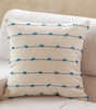 [REVIEW – IMAGE] Blue & Light Green Striped Pillow Covers – Square & Lumbar