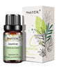 10ml Pure Essential Oils for Diffusers and Aromatherapy